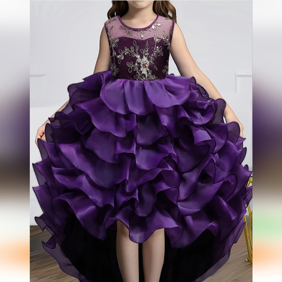 NWOT-Gorgeous Girls Purple With Gold Embroidery High-low Dress - Picture 1 of 2